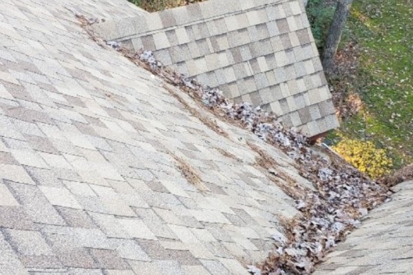 Roof Cleaning Service